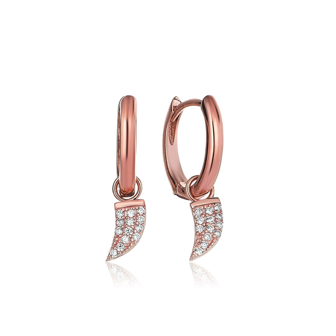 MINI WINGS EARRINGS